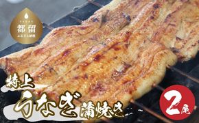 【おいしい訳あり！】うなぎのかば焼き うなぎの蒲焼（半カット）2尾　380g以上　JK001_01