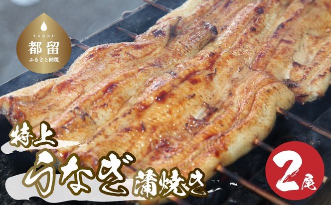 【おいしい訳あり！】うなぎのかば焼き うなぎの蒲焼（半カット）2尾　380g以上　JK001_01