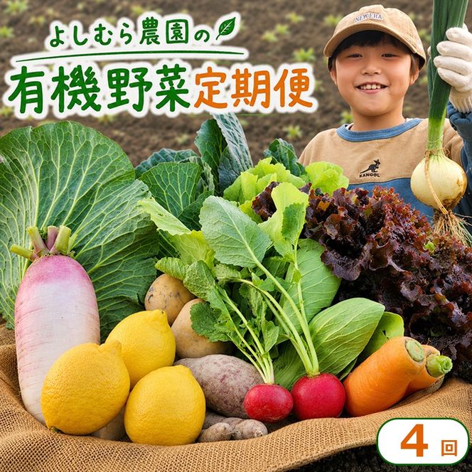 野菜 定期便 4回 詰め合わせ 10種 よしむら農園 オーガニック 有機 有機野菜 やさい ベジタブル おまかせ セット 一人暮らし おすすめ レタス とうもろこし トマト 有機栽培 JAS 栄養 贅沢 国産 大容量 人気 新鮮 今が旬 香川県 丸亀市
