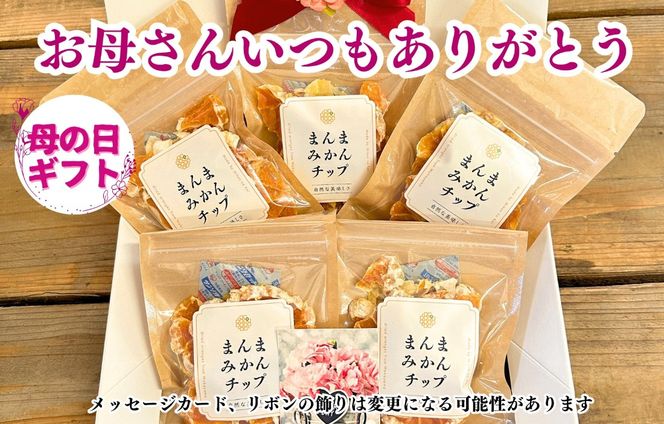 【母の日ギフト】みかん ドライフルーツ まんまみかんチップ 100g ( 20g × 5袋 ) 和歌山県産 果物使用 国内製造 【みかんの会】  AX354
