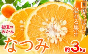 ＜先行予約＞初夏のみかん なつみ 約3kg 株式会社 魚鶴商店《2027年4月中旬-4月下旬頃出荷》 和歌山県 日高町 みかん なつみ 南津海 柑橘 果物 フルーツ 送料無料---wsh_uot138_4c4g_25_11000_3kg---