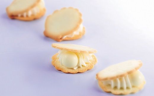 【1.2-15】華珠（HANADAMA）10個入専用箱・手提げ袋セット