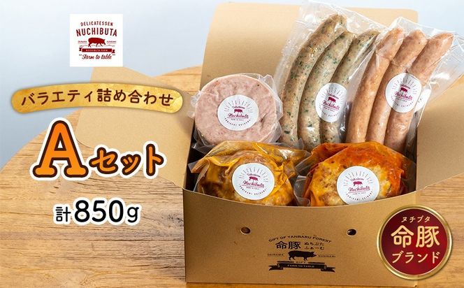 デリカテッセンヌチブタ　バラエティ詰め合わせ【Aセット】計850g NUCHIBUTA 豚肉 加工品 ソーセージ ハンバーグ ポーク 詰め合わせ バラエティ おつまみ おかず 肉 グルメ 手作り アウトドア バーベキュー キャンプ飯 冷凍 国産 沖縄県産 沖縄市