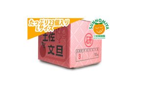 【先行予約】三宮果樹園の土佐文旦 ご家庭用Lサイズ 10kg〈2027年2月14日～2027年3月15日発送〉ぶんたん ブンタン 10キロ フルーツ 柑橘 みかん 果物 くだもの 柑橘類 デザート ご自宅用 ご家庭用 自分用 お取り寄せ 高知県 土佐市【三宮果樹園】[BQAP007]