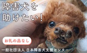 【返礼品なし】 【金額選べる】 障害犬 保護犬の支援 保護 支援 里親 譲渡 治療 餌 犬 動物愛護 藤枝市 静岡県