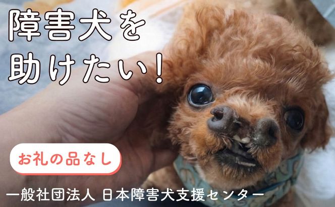 【返礼品なし】 【金額選べる】 障害犬 保護犬の支援 保護 支援 里親 譲渡 治療 餌 犬 動物愛護 藤枝市 静岡県