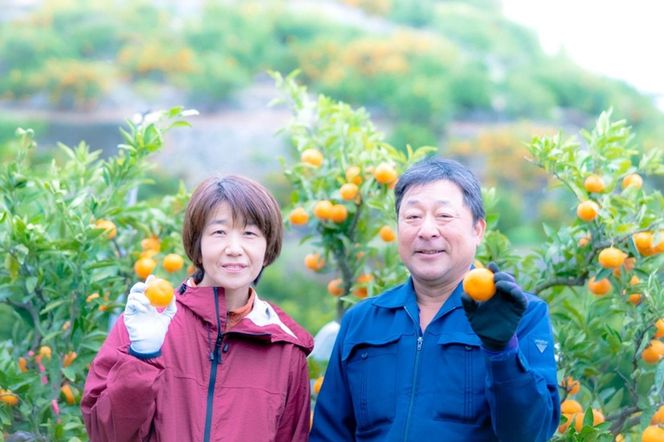 完熟有田みかん 訳あり 約2kg サイズ混合 平武農園 農家直送 蛍飛ぶ町から旬の便り BX114