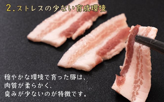 茨城県産のお米を食べて育った 常陽さん家の 美味豚 (SPF豚) 豚バラ 焼肉用 2kg (龍ヶ崎市 共通返礼品） 国産 バラ バラ肉 ロース 豚 SPF SPF豚 豚肉 焼肉 バーベキュー しゃぶしゃぶ 肉 にく 肉類 ポーク こだわり やわらか お米育ち 安心 安全 人気 お取り寄せグルメ お取り寄せ グルメ おすすめ 豚丼 照り焼 [BW003us]
