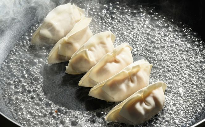 お肉屋さんの特製 餃子 40個 | 餃子 ぎょうざ 冷凍餃子 焼き餃子 ジューシー 冷凍 ギョーザ ギョウザ 惣菜 中華 冷凍食品 国産 お取り寄せ グルメ おかず おつまみ ご飯のお供 簡単 時短 岐阜 瑞穂市 まるたか