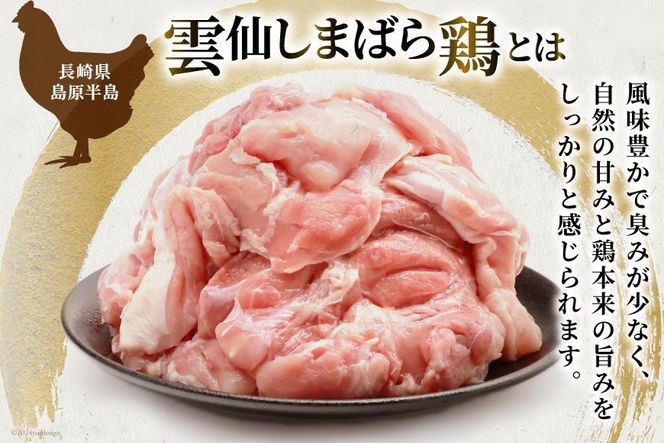 BI083 鶏肉 雲仙しまばら鶏 もも肉 260g 12袋 計3.12kg [ 小分け 鶏もも肉 若鶏 とりもも肉 とりもも 肉 チキン 真空パック 大光食品 長崎県 島原市 ]
