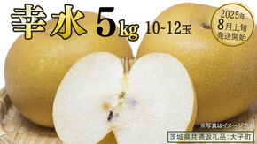 幸水 約5kg (10～12玉)【2025年8月上旬発送開始】(茨城県共通返礼品：大子町) 梨 なし 果物 くだもの フルーツ