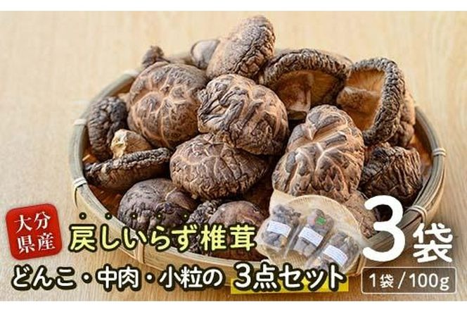 戻しいらず椎茸どんこ・中肉・小粒の3点セット (合計300g・100g×3種) 原木栽培 干し椎茸 乾椎茸 しいたけ きのこ 出汁 大分県 佐伯市 【FR01】【かやの椎茸屋】