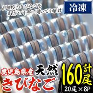 ＜冷凍＞鹿児島県阿久根産 天然きびなごのお刺身(計160尾・20尾×8パック) 国産 魚介 魚貝 海産物 鮮魚 刺身 天ぷら 冷凍配送 キビナゴ 海鮮丼 食品 セット 詰め合わせ 水産加工品【濱崎魚類】akn023-04