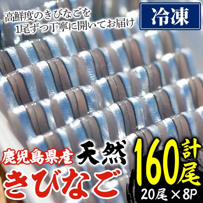 ＜冷凍＞鹿児島県阿久根産 天然きびなごのお刺身(計160尾・20尾×8パック) 国産 魚介 魚貝 海産物 鮮魚 刺身 天ぷら 冷凍配送 キビナゴ 海鮮丼 食品 セット 詰め合わせ 水産加工品【濱崎魚類】akn023-04