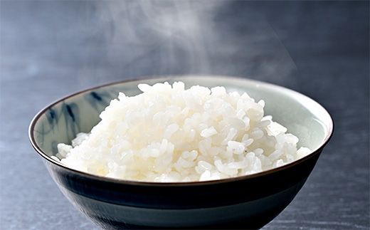 【新米】令和8年産冷めても美味しいあっさりとした味わい「みずかがみ」白米【5kg】【C014W2】（滋賀県　近江八幡市）
