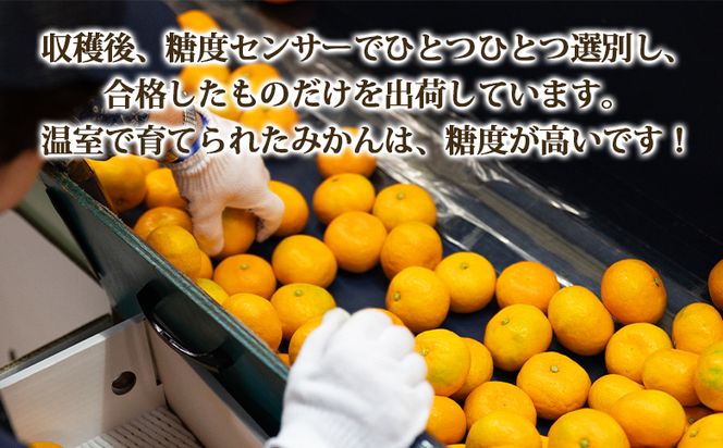 【2回定期便】山北温室みかん 2.5kg Wku-0061