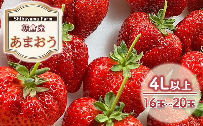 いちご 朝倉市産 あまおう 4L以上 16玉～20玉 イチゴ 苺 果物 デザート ＜Shibayama Farm＞ ※配送不可：離島 