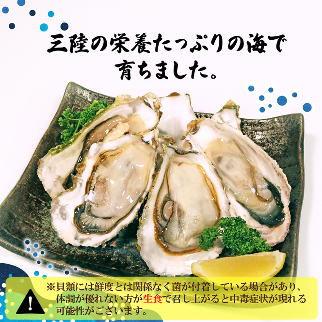 訳あり 生食 殻付き 牡蠣 1kg かき カキ 冷凍 岩手県産 殻付き 生食 訳あり わけあり 大きさ不揃い 不揃い 三陸 三陸産 株式会社國洋 岩手県 大船渡市 [koku021] 