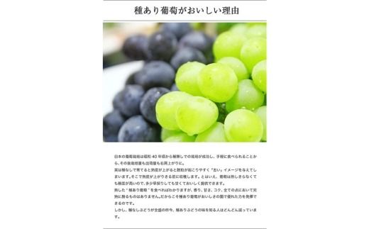 幸田町産ぶどう使用（無添加、無糖、無加水）100％ジュース 多種類 6本詰め合わせ 180ml×6本 合計1080ml ｜ ぶどうジュース 葡萄ジュース 巨峰 デラウェア 甲斐路 ベリーA セミヨン ナイアガラ アレキサンドリア コンコード 種ぶどう 愛知県 幸田町