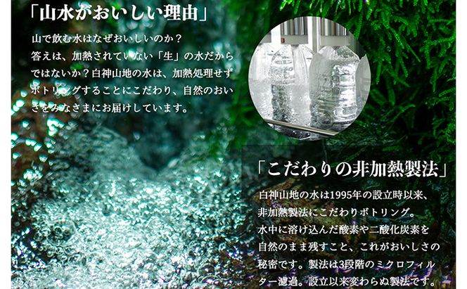 白神山地の水500ml×24本 年2回お届け！！定期便 ナチュラルウォーター 飲料水 軟水 超軟水 非加熱 弱酸性 湧水 湧き水 水 ウォーター ペットボトル 青森県 鰺ヶ沢町 国産