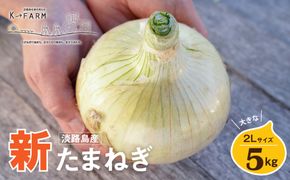 【新たまねぎ】淡路島たまねぎ 大きな2Lサイズ 5kg【発送時期：2026年3月下旬～5月頃】　[玉ねぎ 産地直送 玉ねぎ]