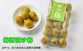 【ふるさと納税】梅酒の梅 5袋 セット 梅の実 うめ ウメ 梅酒 おやつ おつまみ つまみ ジャム 手作り 加工食品 お取り寄せ 飲み比べ 送料無料 福井県 若狭町