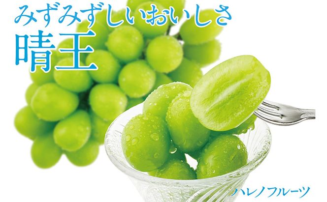 ぶどう2026年 先行予約 シャイン マスカット 晴王 2房（合計約1.1kg） 晴れの国 おかやま 岡山県産 フルーツ王国 果物王国 産地直送 