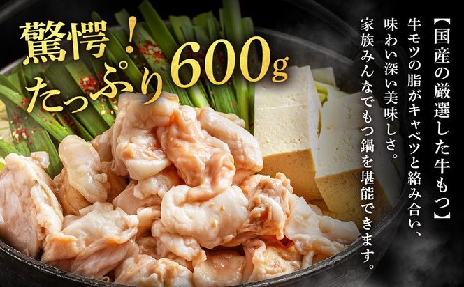 魚住商店特製 国産牛もつ使用 塩もつ鍋セット(4～6人前)【魚住商店】_HA2000 〆のチャンポン麺付き 国産モツ鍋 鍋 ホルモン 肉 もつ 国産もつ鍋 塩もつ鍋 塩モツ鍋 出汁つき 小分け 個包装 冷凍 惣菜 お惣菜 おかず おすすめ 福岡県宗像市