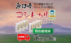 定期便 全6回 特別栽培米 魚沼産コシヒカリ 5kg お米 コメ 