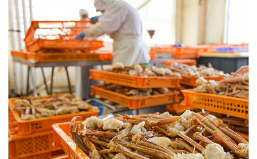 ボイル 本ずわいがに 爪 1kg (500g × 2) カジマ ずわい蟹 ズワイガニ ずわいがに かに カニ 蟹 かに爪 カニ爪