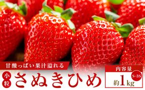 【期間限定】可愛い丸々小粒さぬきひめいちご　約1kg【3月下旬～6月中旬配送】 372013_T006-814J