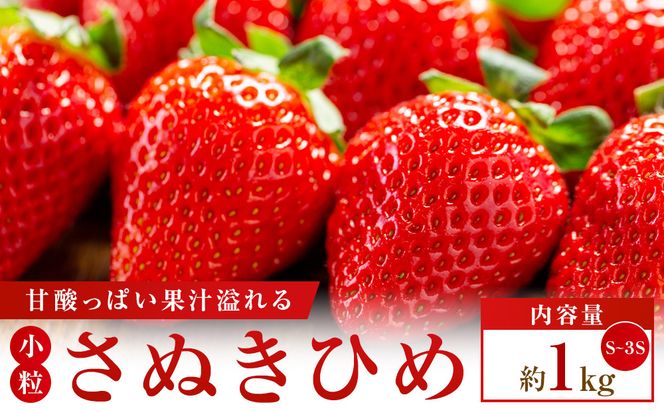 【期間限定】可愛い丸々小粒さぬきひめいちご　約1kg【3月下旬～6月中旬配送】 372013_T006-814J