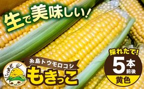 【先行予約】糸島産 トウモロコシ 「もきっこ」 黄 (5本前後) 【2026年6月下旬以降順次発送】糸島市 / 内田農業 とうもろこし コーン [AZH004] とうもろこし トウモロコシ 野菜 コーン スイートコーン BBQ バーベキュー