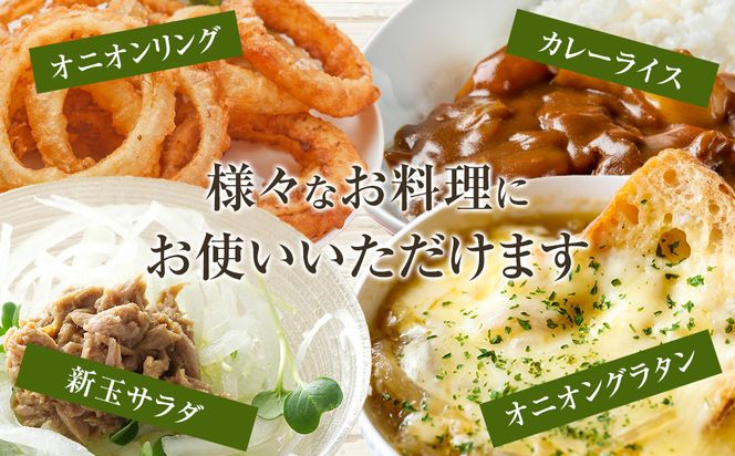 ［2026年発送分・先行予約］農家さん直送 低農薬玉ねぎ Sサイズ 10kg程度［4月中旬～7月中旬頃発送予定］［KF18］ 303446_BE90023