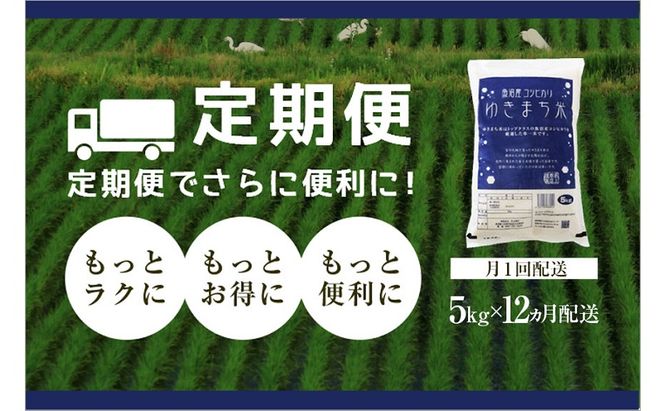 【定期便／12ヶ月】ゆきまち米5kg 極上魚沼産コシヒカリ お米 こしひかり 魚沼産こしひかり