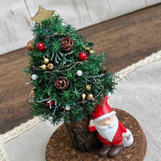 プリザーブドフラワー　ペールノエル　春日部市　シュガーパイン(AJ264)