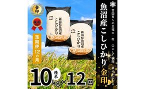 【定期便全12回毎月発送】魚沼産コシヒカリ金印(精米)10kg 米 こしひかり 定期 新潟 十日町市