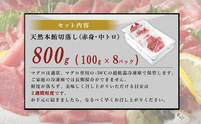  マグロ 中トロ 赤身 切落し【800g (100g×8パック)】天然 本マグロ 本まぐろ まぐろ マグロ 鮪 刺身 刺し身 魚 惣菜 海鮮丼 魚介類 食べきりサイズ 小分け 冷凍 訳あり 不揃い 2万 20000円 送料無料 室戸 mgr tk116