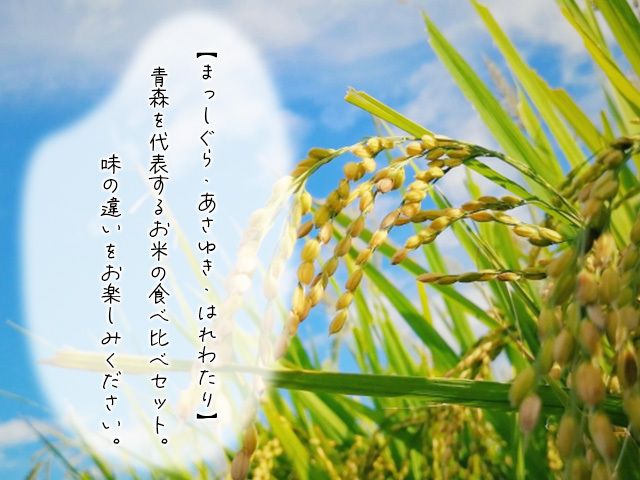 令和7年産 青森県 鯵ヶ沢産 お米食べ比べ お試しセット 白米 約300g×3袋 [H.GREENWORK] まっしぐら・あさゆき・はれわたり / お米 精米 こめ おこめ ごはん お試し 精米 ポスト投函 津軽