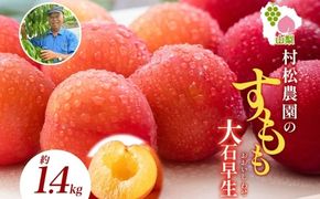 すもも 大石早生 6パック 約1.4kg スモモ プラム フルーツ 果物 産地直送 旬 果実 甘酸っぱい 爽やか 果汁 ジューシー こだわり 新鮮 人気 美味しい おやつ 贈答 ギフト 贈り物 村松農園 送料無料 山梨県 笛吹市 177-5-010
