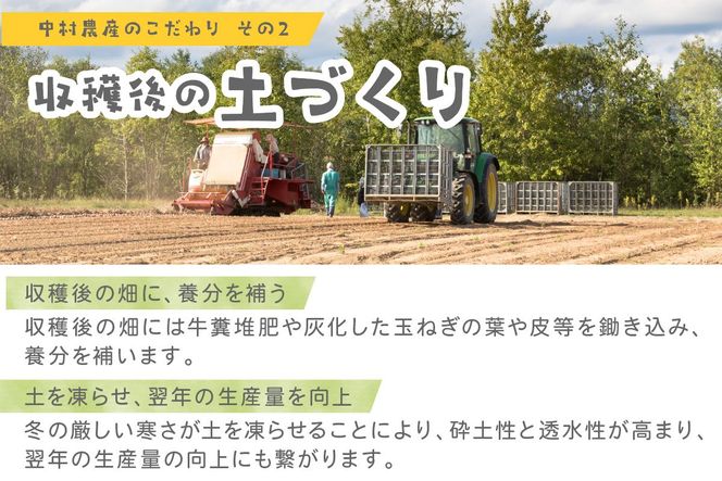 【予約：2026年10月から順次発送】北海道北見産 玉ねぎ 5kg ( 玉ねぎ 野菜 たまねぎ タマネギ 玉葱 甘い ハンバーグ 肉じゃが ふるさと納税 玉ねぎ )【002-0008-2026】