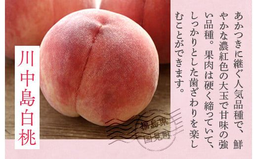 透過式光センサー川中島白桃 特秀3kg相当 9玉～11玉＜ ふくしま未来農業協同組合 ＞ | ふくしま 桃 福島 もも 国見 モモ ※2026年8月中旬頃より順次発送予定 ※沖縄・離島への配送不可