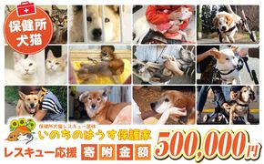 保健所犬猫レスキュー【返礼品なしのご寄附】