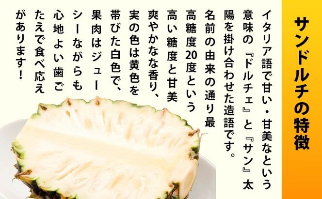 【先行予約2026年6月下旬頃から順次発送】最高糖度20度！？クリーミーな味わいが魅力の石垣島産完熟サンドルチェ 3個セット