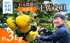 【先行予約】石元農園の土佐文旦 家庭用 約3キロ〈2027年2月～発送〉/ 期間限定 土佐文旦 文旦 3kg ブンタン ぶんたん 果物 柑橘 フルーツ 高知県産 家庭用 おいしい 【石元農園】 [BQBH006]