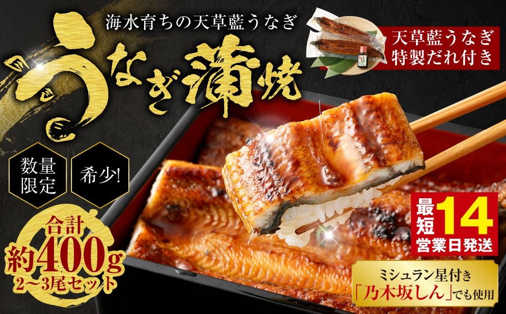 [ミシュラン星付きのプロが愛用]海水育ちの天草藍うなぎ 蒲焼き 2〜3尾セット[合計約400g]鰻 ウナギ 数量限定!!