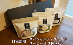 自家焙煎 スペシャルティブレンド コーヒー豆3種セット(豆) 【2482】