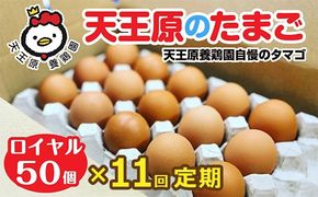 【定期便】11回定期 【天王原のたまご】 ロイヤル卵50個入り【定期便 11回定期便 セット たまご 卵 玉子 タマゴ 濃厚 ハリ 弾力 ボリューム 甘味 旨味 卵黄 風味 生 コク 甘味 卵かけご飯 卵焼き 目玉焼き オムレツ 茶碗蒸し お菓子作り パンの材料】