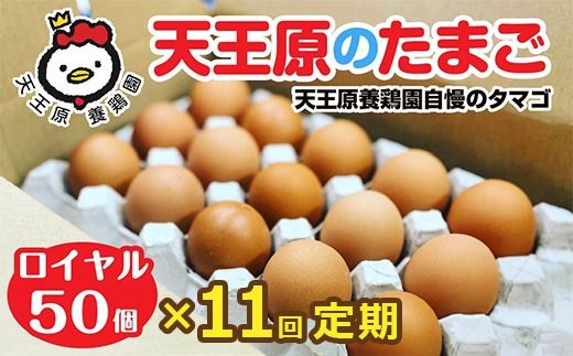 【定期便】11回定期 【天王原のたまご】 ロイヤル卵50個入り【定期便 11回定期便 セット たまご 卵 玉子 タマゴ 濃厚 ハリ 弾力 ボリューム 甘味 旨味 卵黄 風味 生 コク 甘味 卵かけご飯 卵焼き 目玉焼き オムレツ 茶碗蒸し お菓子作り パンの材料】