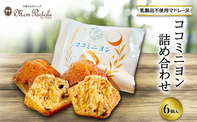 名張市発　乳製品不使用マドレーヌ　ココミニヨン詰め合わせ(和三盆×ココナッツオイル)　6個入り 洋菓子 おやつ 菓子 マドレーヌ 焼き菓子 三重県